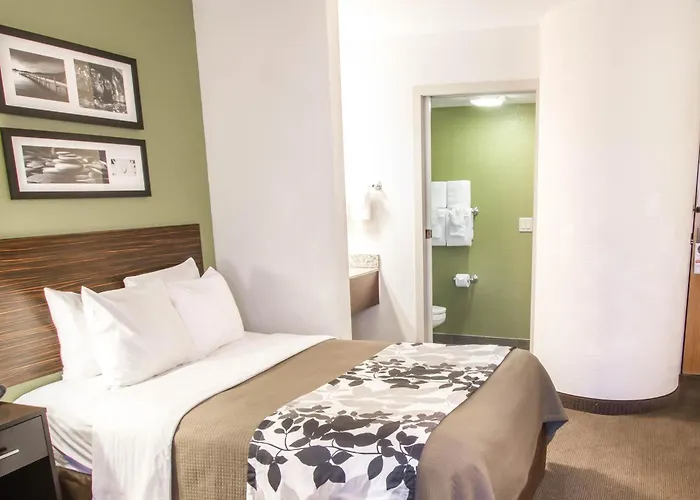 Sleep North Near Mayo Clinic Gasthof