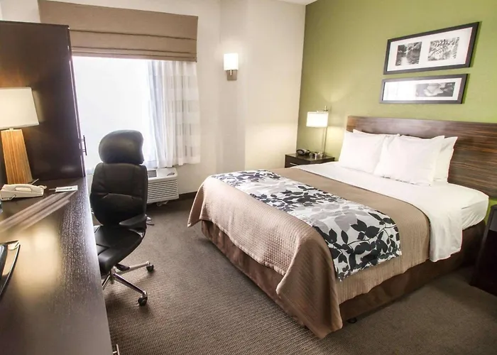 Sleep North Near Mayo Clinic Gasthof Scottsdale