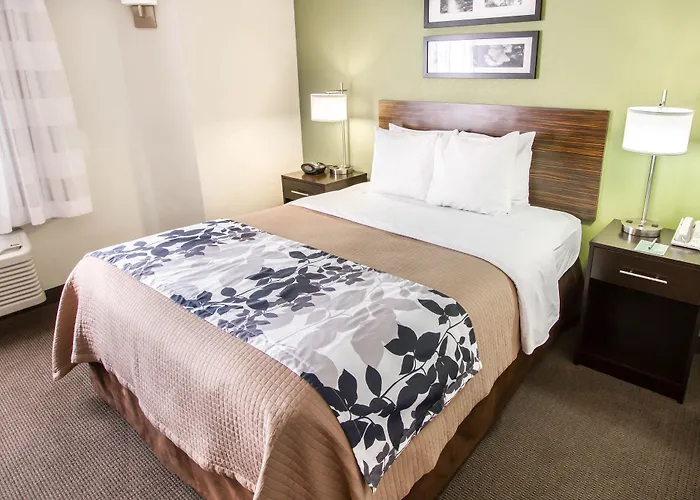 Sleep North Near Mayo Clinic Gasthof