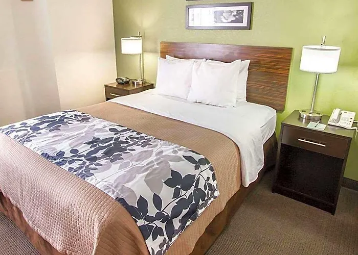 Sleep North Near Mayo Clinic Gasthof 4*