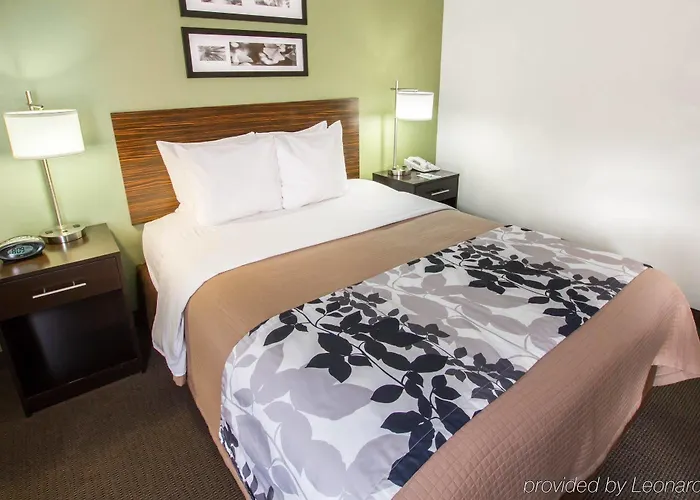 Sleep North Near Mayo Clinic Scottsdale